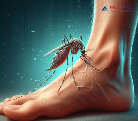 Nepal Dengue 2023